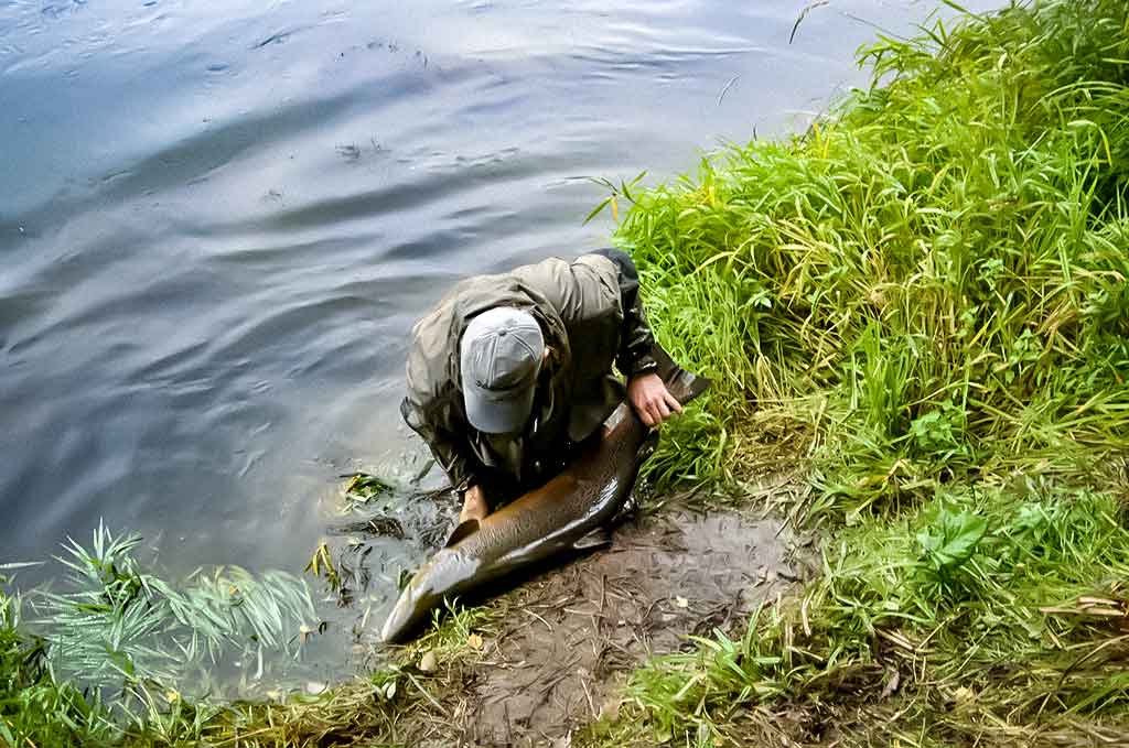 Kaip žvejodavo mūsų senoliai. Antra dalis